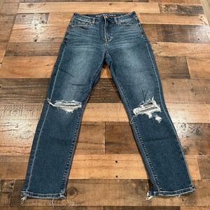 American Eagle Outfitters Women's Straight Leg Distressed Blue Jeans